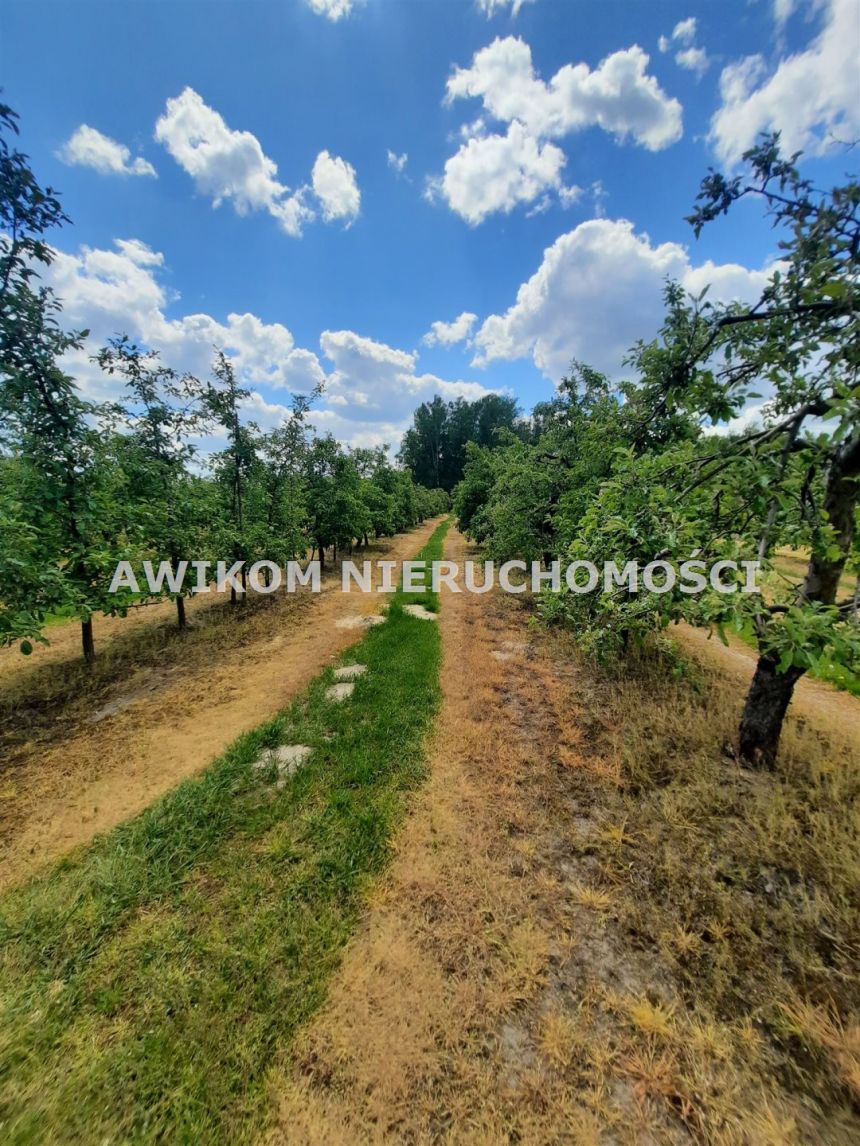 Kornelówka, 1 400 000 zł, 5.67 ha, rolna miniaturka 4