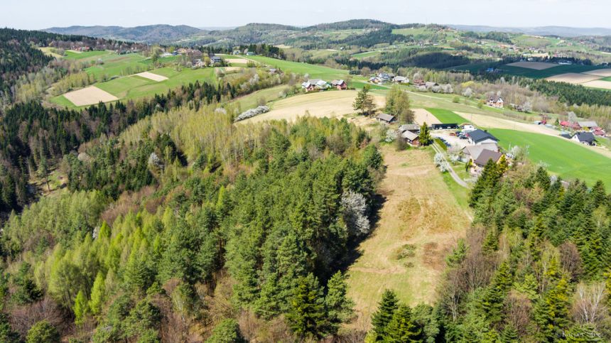 Na sprzedaż gospodarstwo rolne w Jastrzębi miniaturka 5