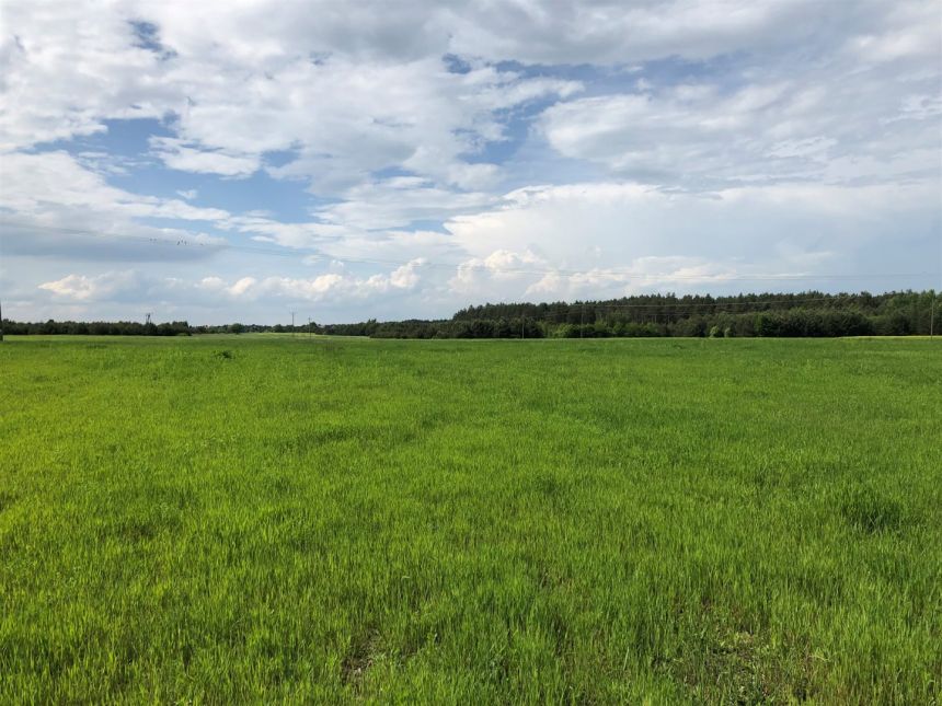 Działki budowlane w Rabinówce! Natura 2000! miniaturka 4