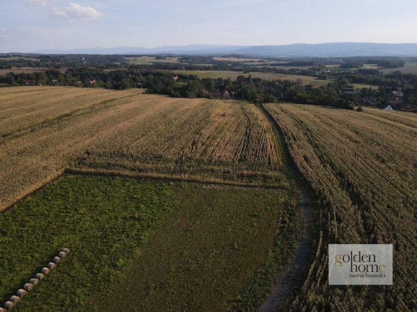 Krzewie Wielkie, 91 275 zł, 12.17 ar, przyłącze prądu miniaturka 8