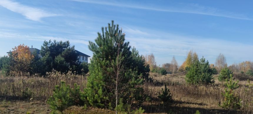 Borzęcin Duży działka pod zabudowę przy lesie. - zdjęcie 1