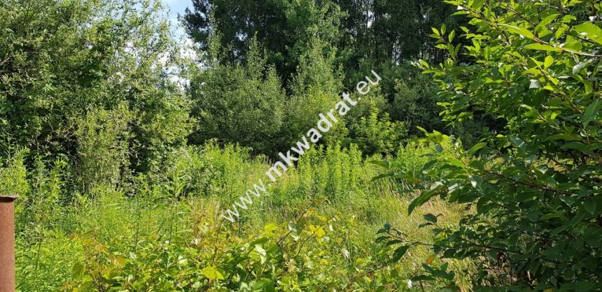 Osowiec gm. Żabia Wola | 1653m2 | narożna | MPZP miniaturka 7