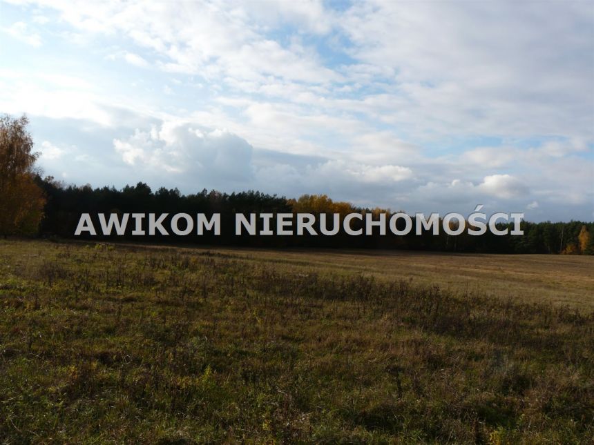 Wycześniak, 1 625 700 zł, 16.26 ha, rolna miniaturka 7