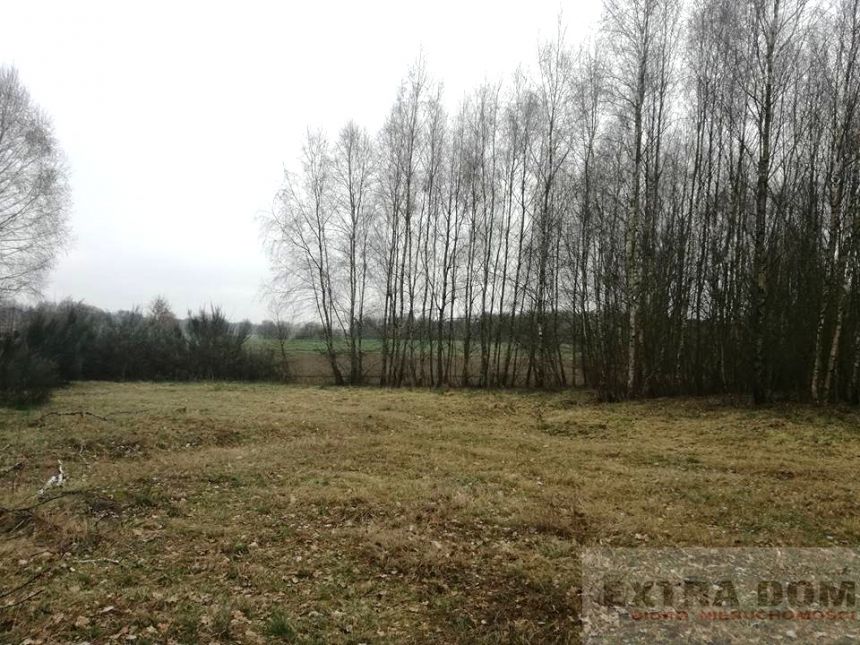 Karsk, 115 000 zł, 2.08 ha, o zróżnicowanym ukształtowaniu terenu miniaturka 2