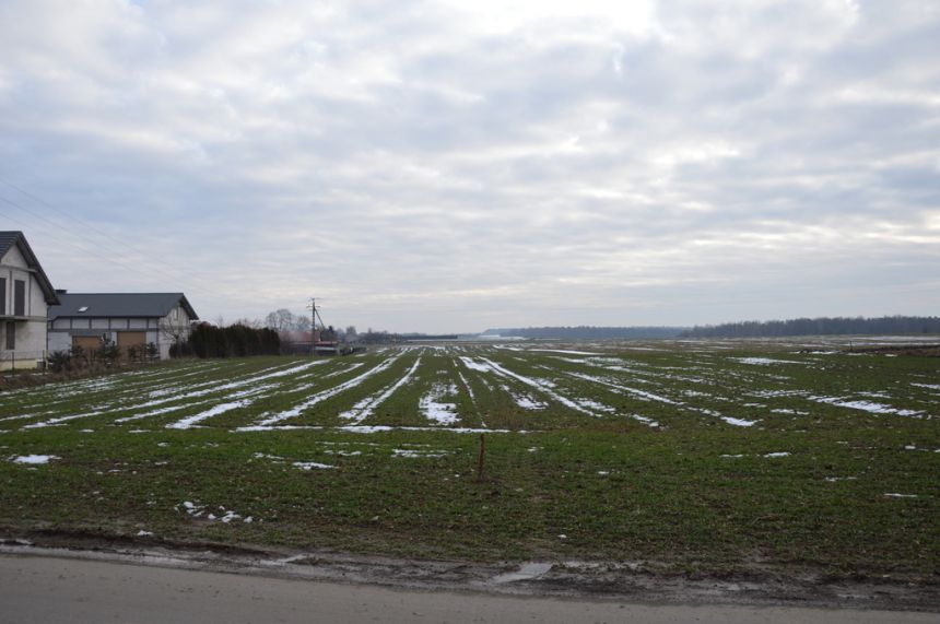 Działka Jabłonna Majątek, tylko 110 zł/m2! - zdjęcie 1