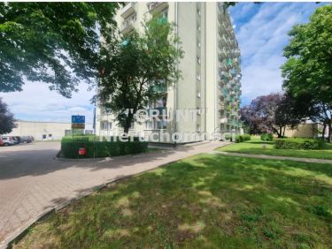 Kawalerka w centrum Piły