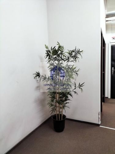 Śródmieście: biuro 16,68 m2
