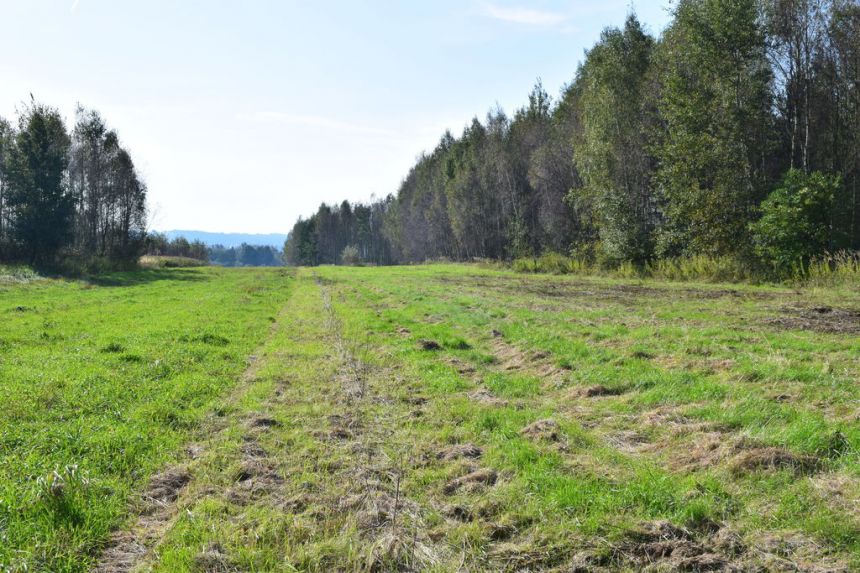 Działki budowlane 7.5a-7.98a - Bratkowice miniaturka 3