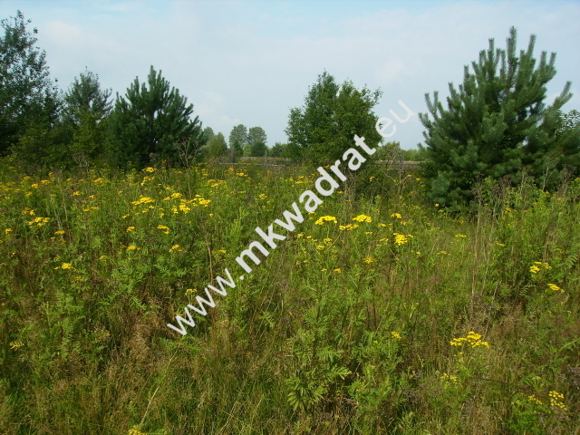 Działki budowlane z planem zagospodarowania miniaturka 9