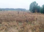 Gniła, 349 000 zł, 14.25 ar, prostokątna miniaturka 5