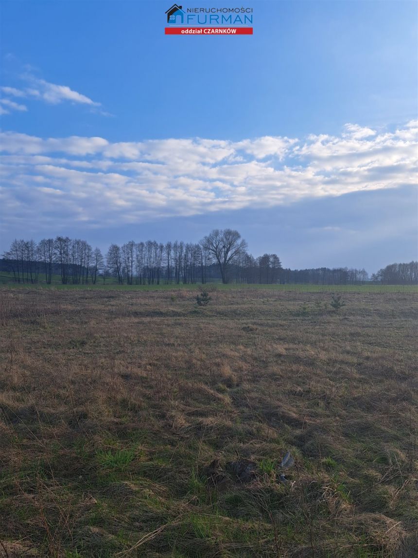 działka na sprzedaż w Brzeźnie gmina Czarnków miniaturka 2