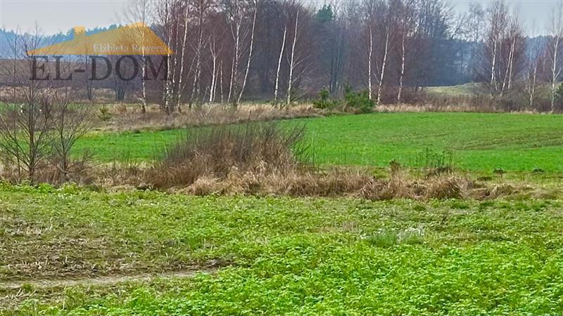 Działka - Białachowo - zdjęcie 1