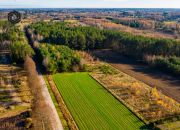 Baciuty-Kolonia, 140 000 zł, 30 ar, przyłącze prądu miniaturka 2