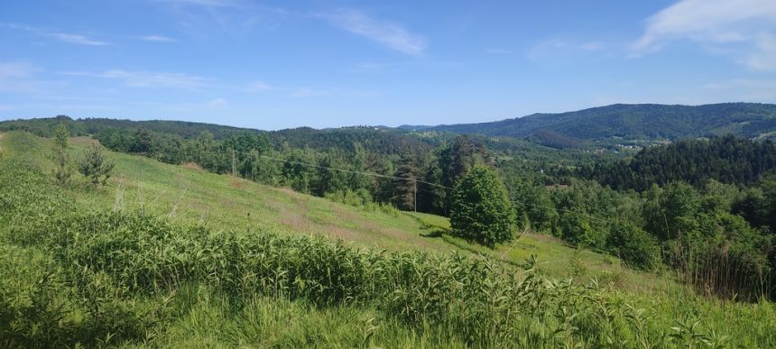 Działka budowlana- Tropie- Gródek nad Dunajcem miniaturka 11