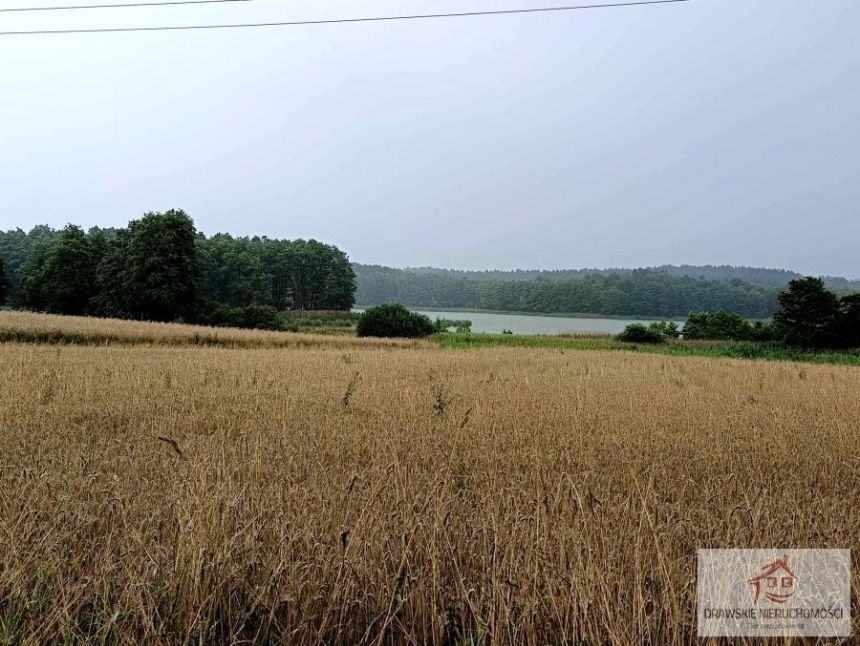 Nętno, 138 000 zł, 31 ar, rolno-budowlana - zdjęcie 1