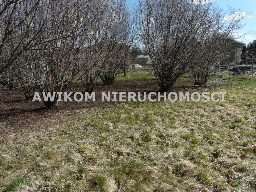Grabina Radziwiłłowska, 110 000 zł, 10 ar, woda w drodze miniaturka 10