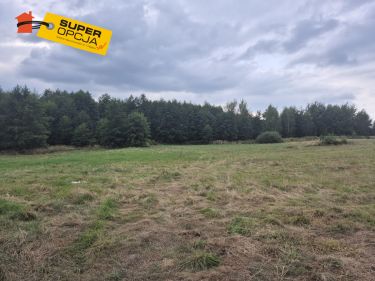 Wiśnicz Mały, 263 000 zł, 2.63 ha, rolna