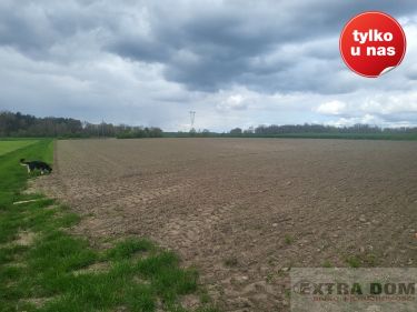 Mokre, 67 400 zł, 2.05 ha, rolna