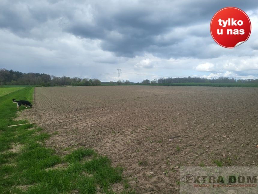 Mokre, 67 400 zł, 2.05 ha, rolna - zdjęcie 1