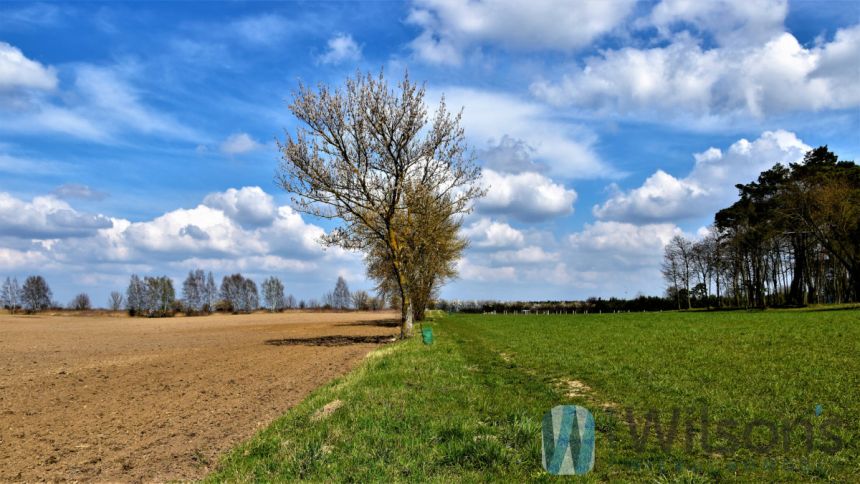 Henrysin, 300 000 zł, 30 ar, budowlana miniaturka 3