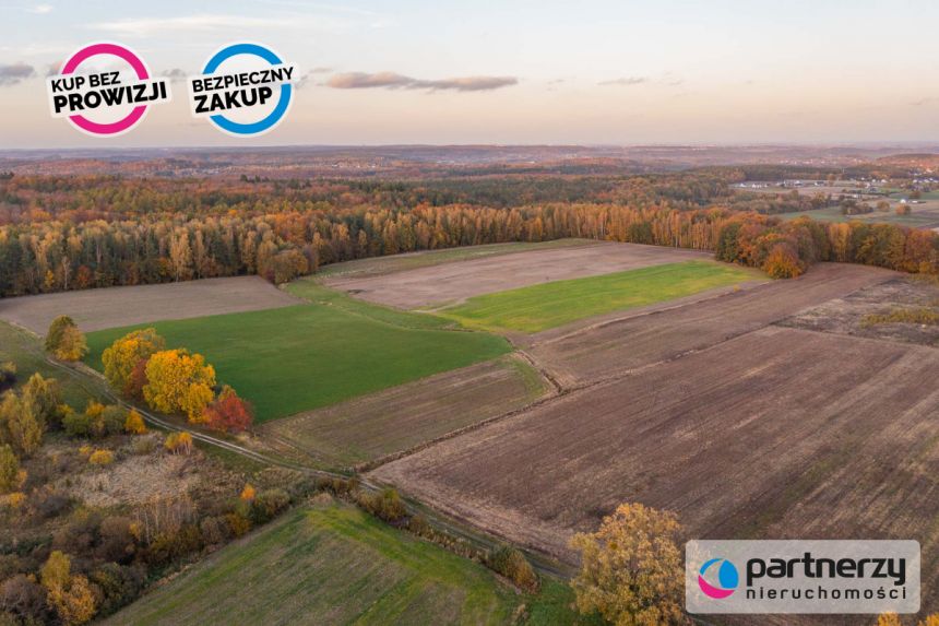 Buszkowy, 130 000 zł, 58 ar, rolna miniaturka 11