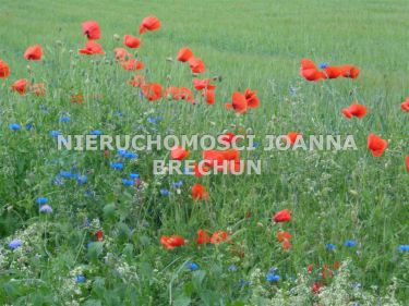 Bogusławice, 210 000 zł, 28 ar, przyłącze wodociągu