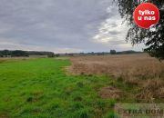 Trzebawie, 345 000 zł, 8 ha, droga dojazdowa asfaltowa miniaturka 8