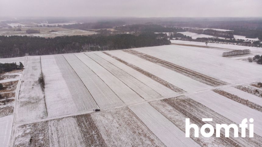 Wierzchy Kluckie, Kluki, Bełchatowski miniaturka 4