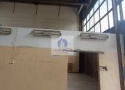 Bielany: magazyn 249,02 m2 miniaturka 5