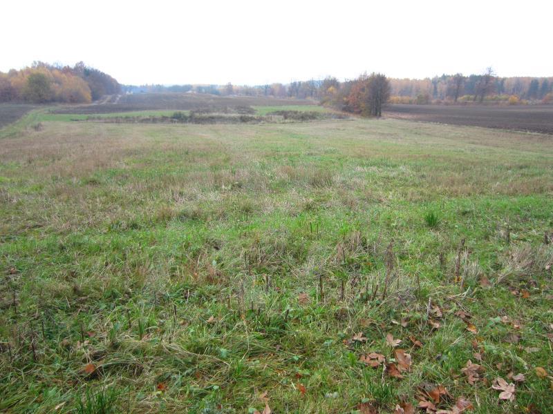 Działka przemysłowa - Szemud - 2834m2 miniaturka 6