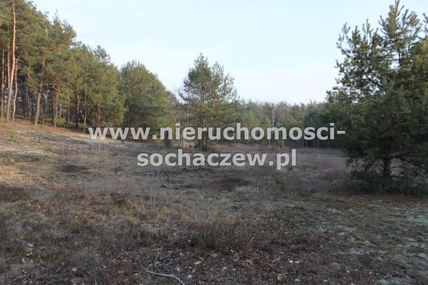 Radziwiłka, 1 656 420 zł, 16.56 ha, rolna z prawem zabudowy miniaturka 7