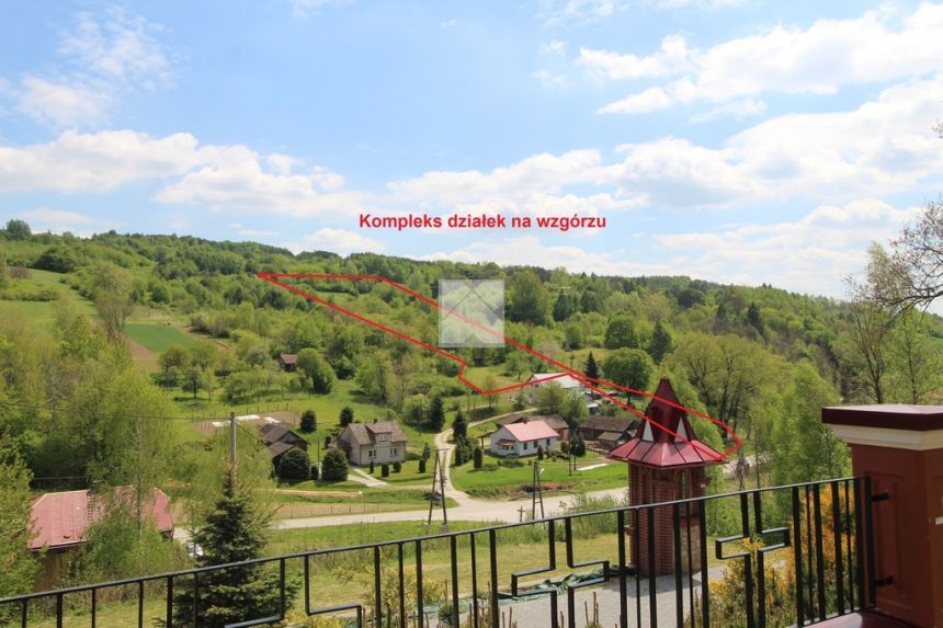 Działki rolne w Drohobyczce k/Dubiecka ponad 3 ha miniaturka 6