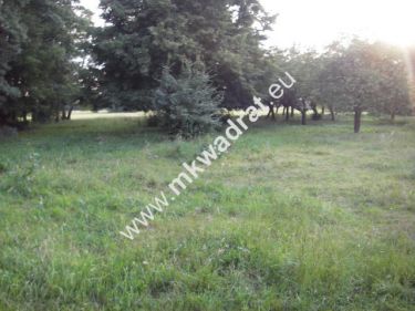 Chrzanów Mały, 600 000 zł, 1.01 ha, budowlana