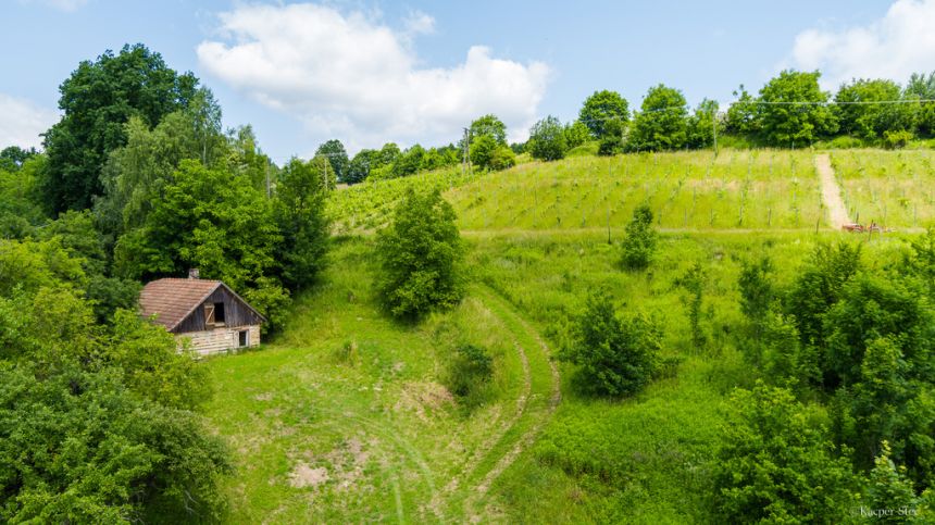 Dom drewniany- Tuchów- Małopolska - zdjęcie 1