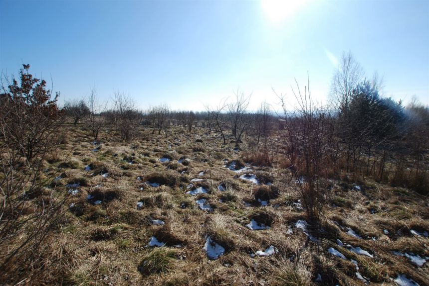 Działka 1000 m2 Mąchocice Kapitulne gm. Masłów miniaturka 3