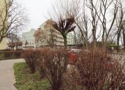 Warszawa Saska Kępa, 2 800 zł, 38 m2, pietro 1/4 miniaturka 23