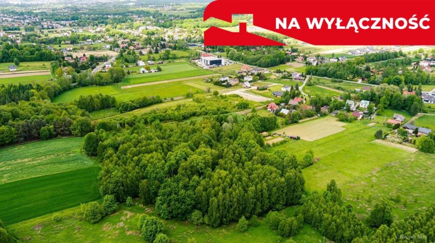 Działka rolno-budowlana- Skrzyszów miniaturka 5