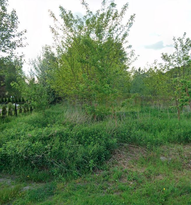 Idealna na 4 lokale, tylko 300m od Puszczy - zdjęcie 1