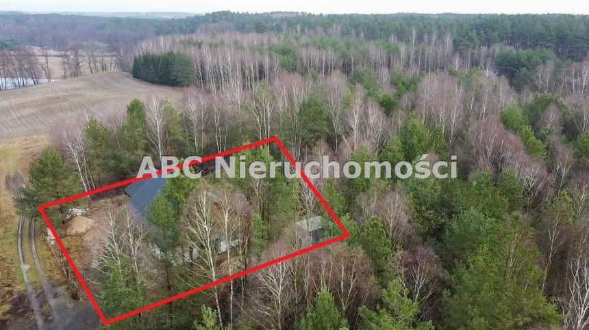 Skórka, 340 000 zł, 161.2 m2, aneks kuchenny połączony z salonem miniaturka 14