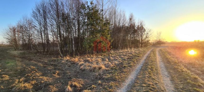 Dom z polem 1,5 ha za 250 000 zł OKAZJA miniaturka 2