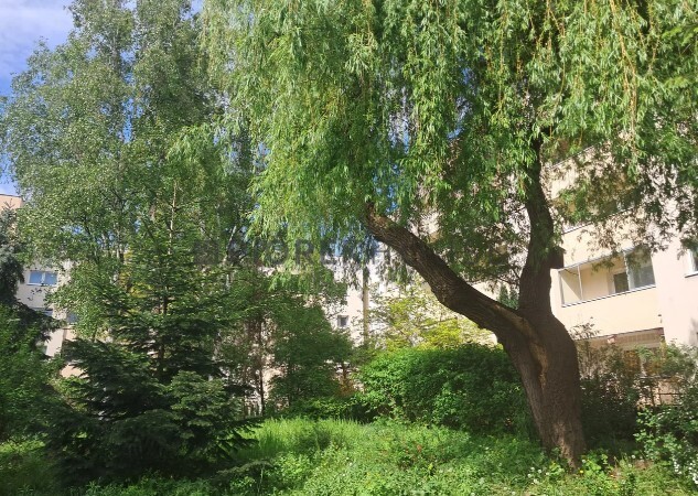 4-pokojowe mieszkanie na Mokotowie miniaturka 13