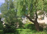 4-pokojowe mieszkanie na Mokotowie miniaturka 13