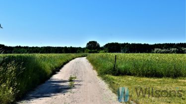 Kuligów, 733 440 zł, 61.12 ar, przyłącze prądu
