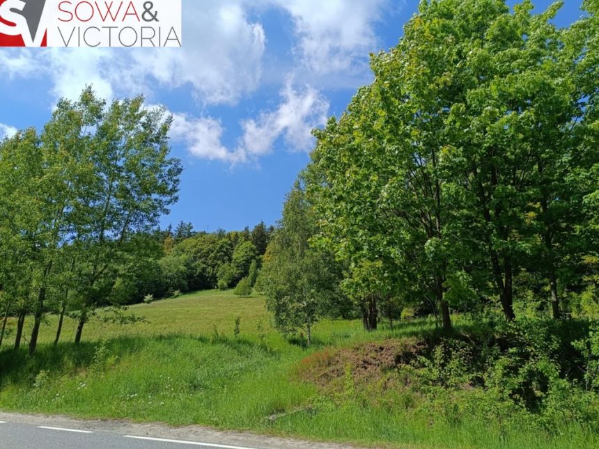 Działka budowlana, 3 km od Wałbrzycha - Promocja! miniaturka 4