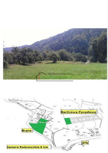 Bartkowa-Posadowa, 58 000 zł, 48 ar, prostokątna