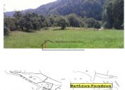 Bartkowa-Posadowa, 58 000 zł, 48 ar, prostokątna miniaturka 1