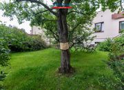 Dom jednorodzinny 109m+ garaż 14m- PODLASIE miniaturka 24