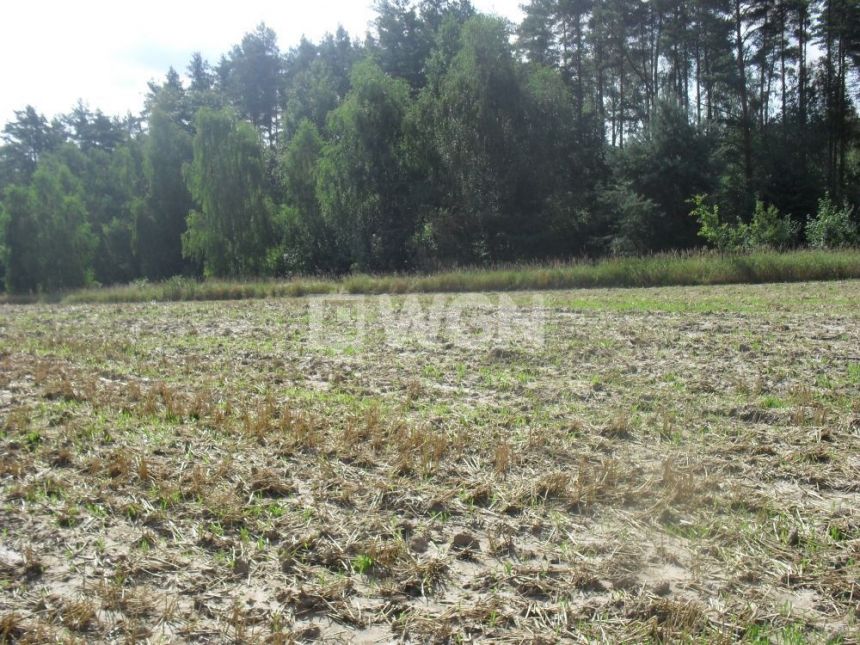 Kurów Mały, 570 000 zł, 1.9 ha, bez nasadzeń miniaturka 5