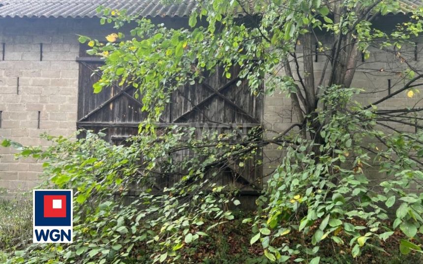 Soborzyce, 329 000 zł, 90 m2, jednorodzinny miniaturka 7
