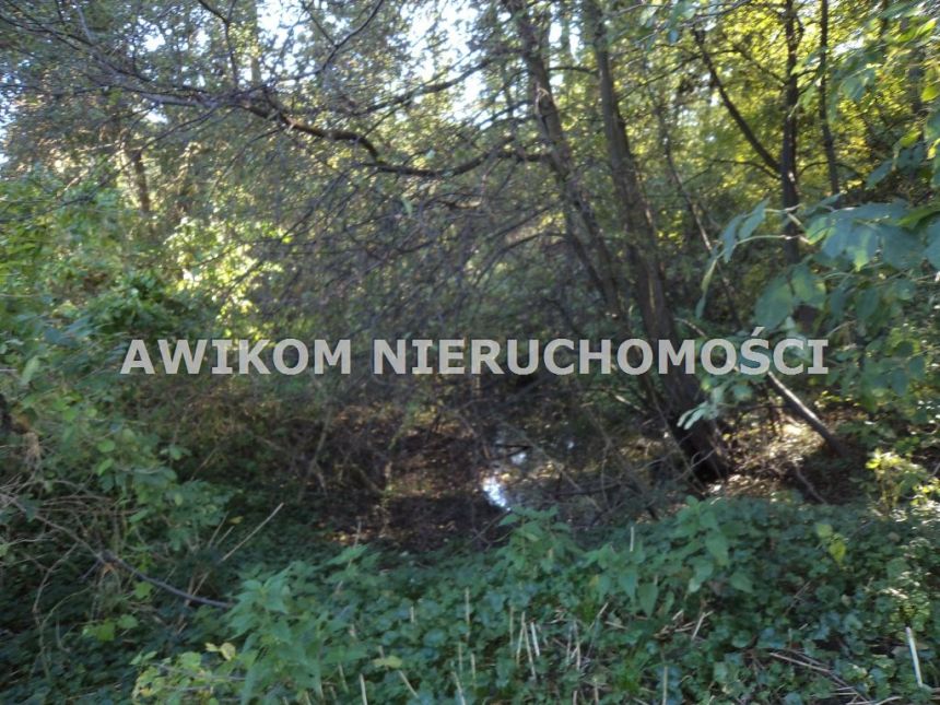 Odrano-Wola, 3 950 000 zł, 5.32 ha, woda w drodze miniaturka 17